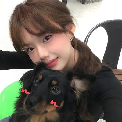 内战圣伯纳犬 封面